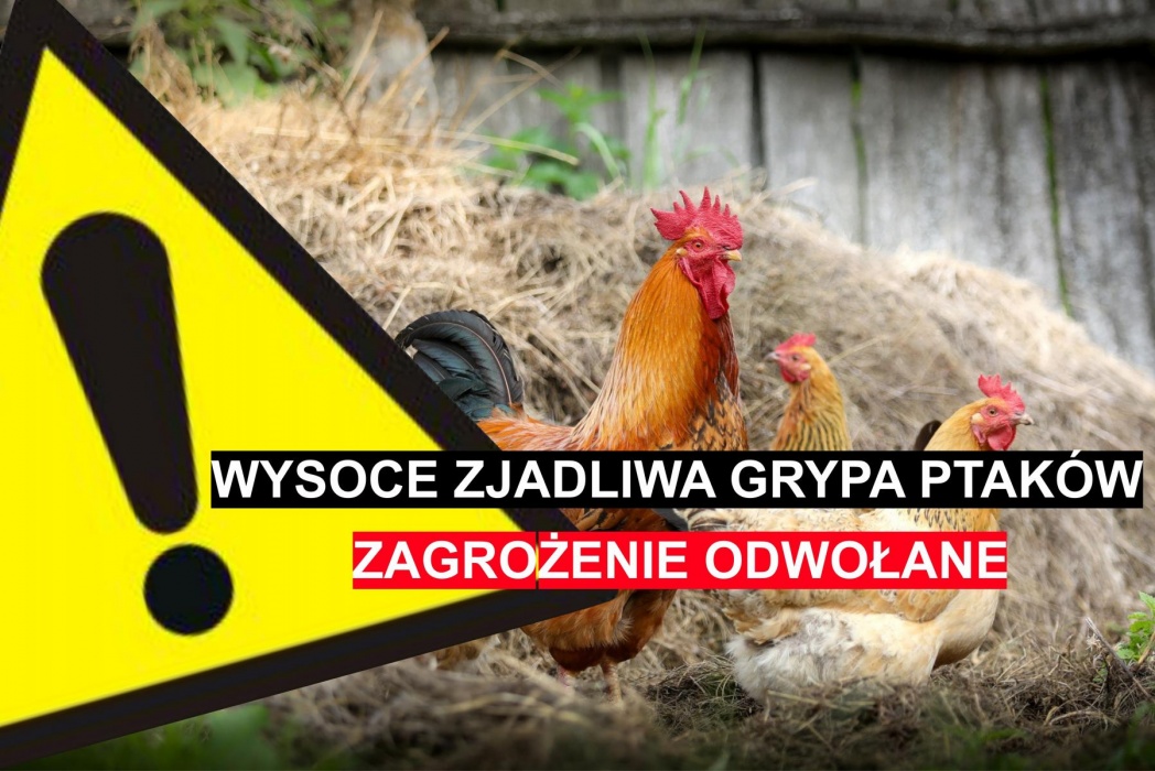 Uchylenie Rozporządzenia w sprawie zwalczania wysoce zjadliwej grypy ptaków HPAI