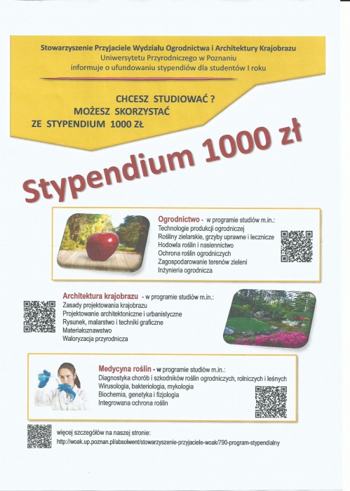 Stypendium dla studentów