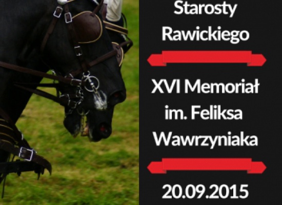 XVI Memoriał im.Feliksa Wawrzyniaka