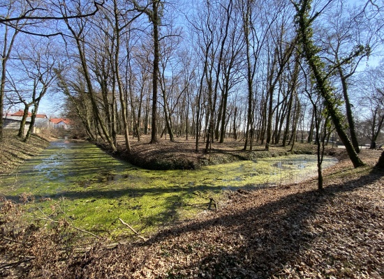 Poprawa zasobów przyrodniczych na terenie Gminy Pakosław poprzez renowację zbiornika wodnego, odnowę rowu i wykonanie nasadzeń