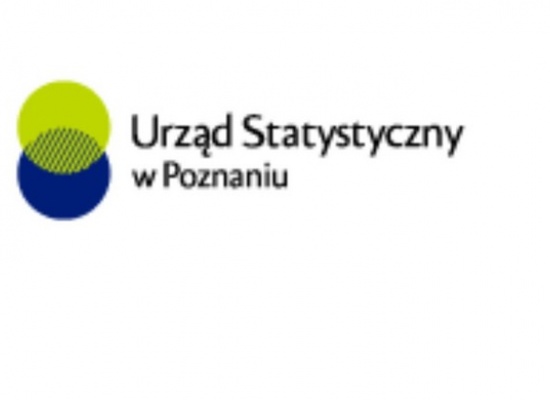 Badanie pilotażowe -Transport lekkimi pojazdami użytkowymi