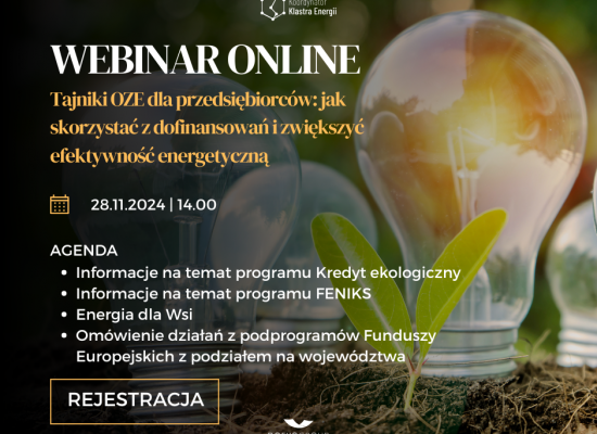 Webinar- Tajniki OZE dla przedsiębiorców 