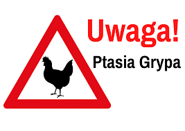 Ptasia grypa H5N8 w Powiecie Rawickim!