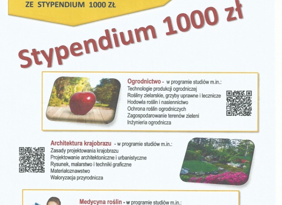 Stypendium dla studentów