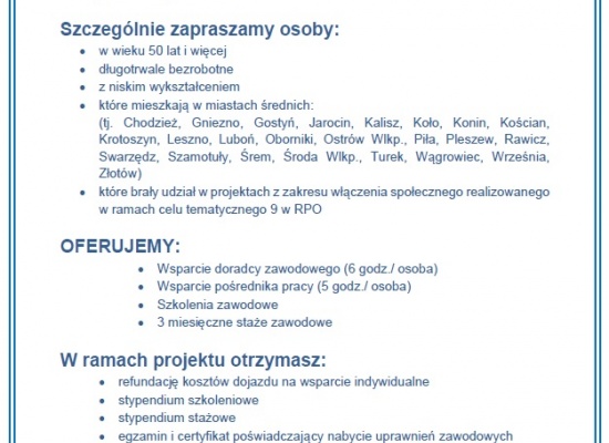 Projekt "Wielkopolski Inkubator Zatrudnienia" 